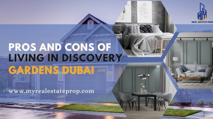 Pros and Cons of Living in Discovery Gardens Dubai